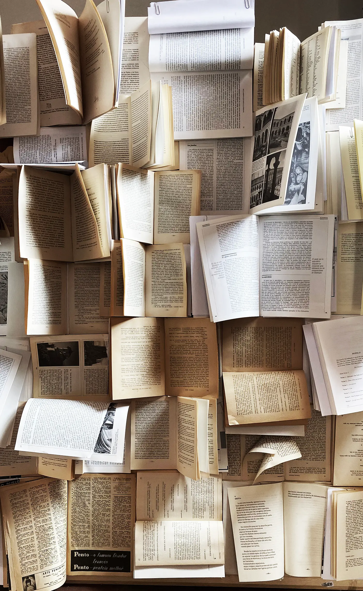 Cartografía para una casa oculta